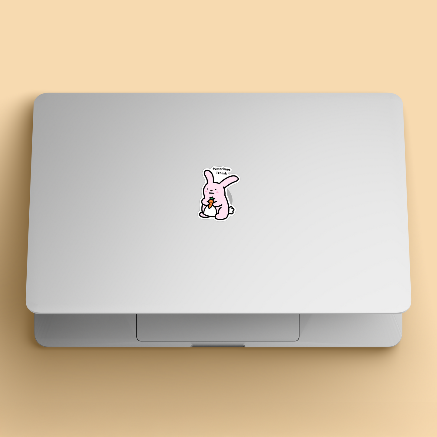 Sometimes I Think Sticker