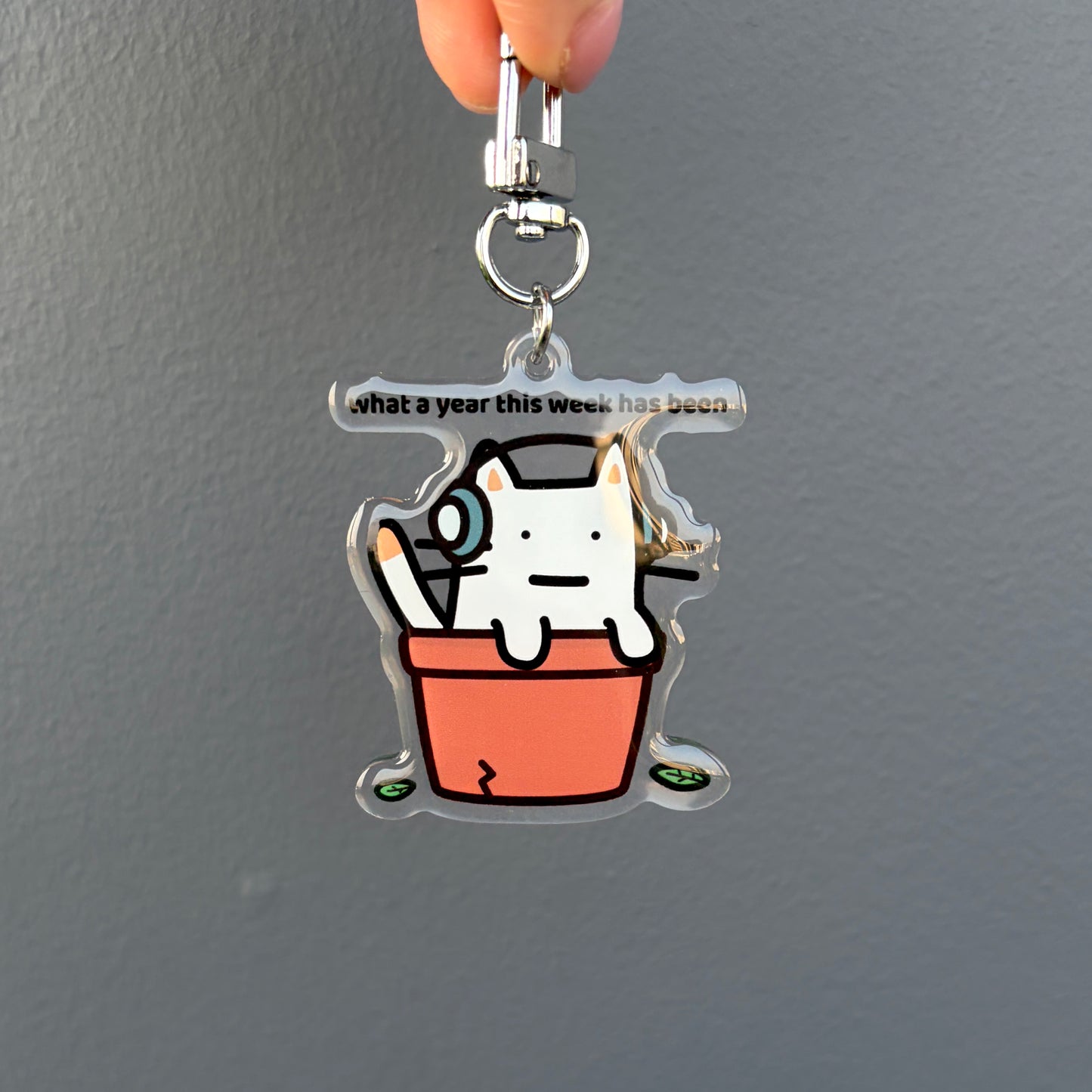 What A Year Keychain