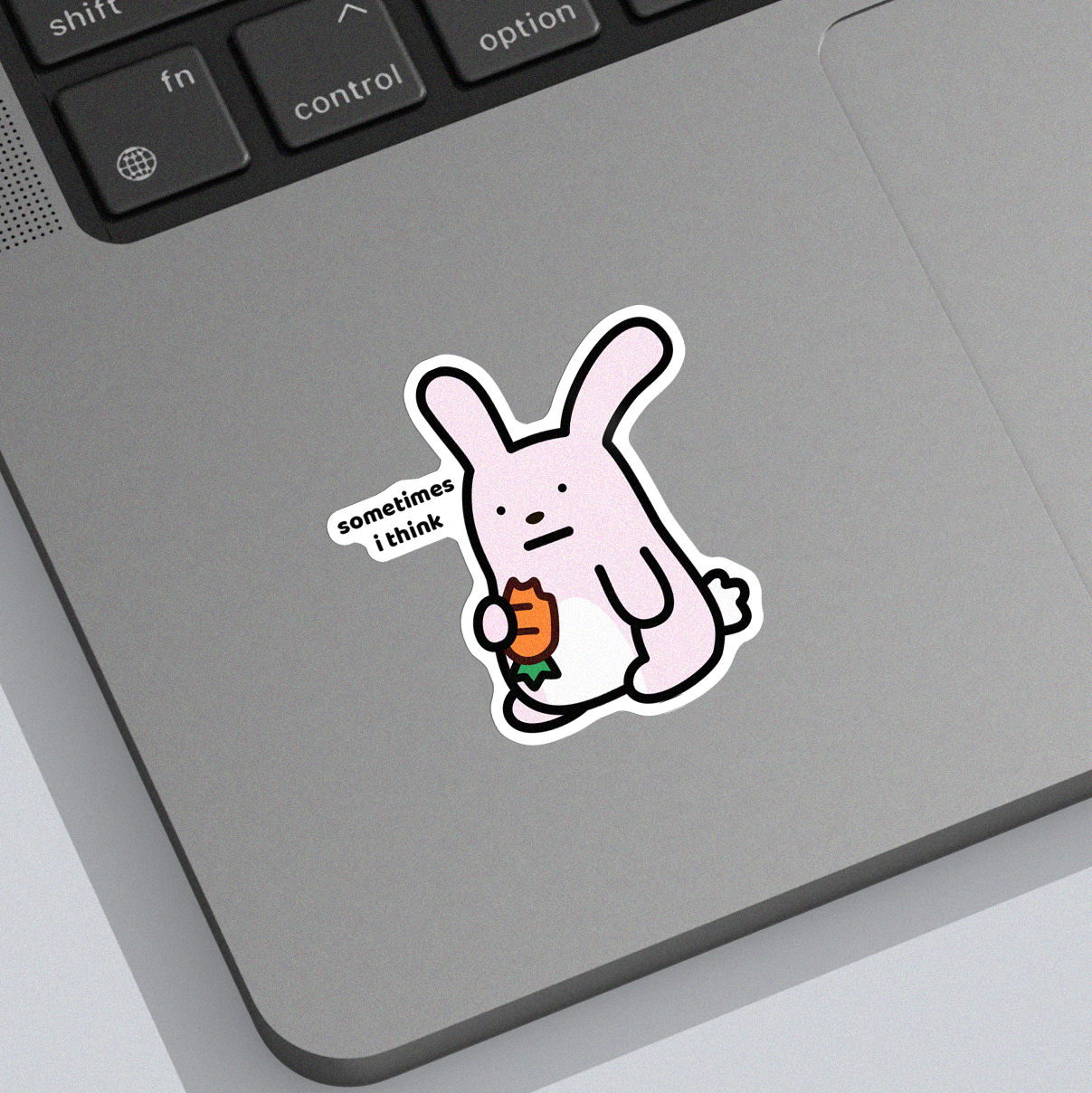 Sometimes I Think Sticker