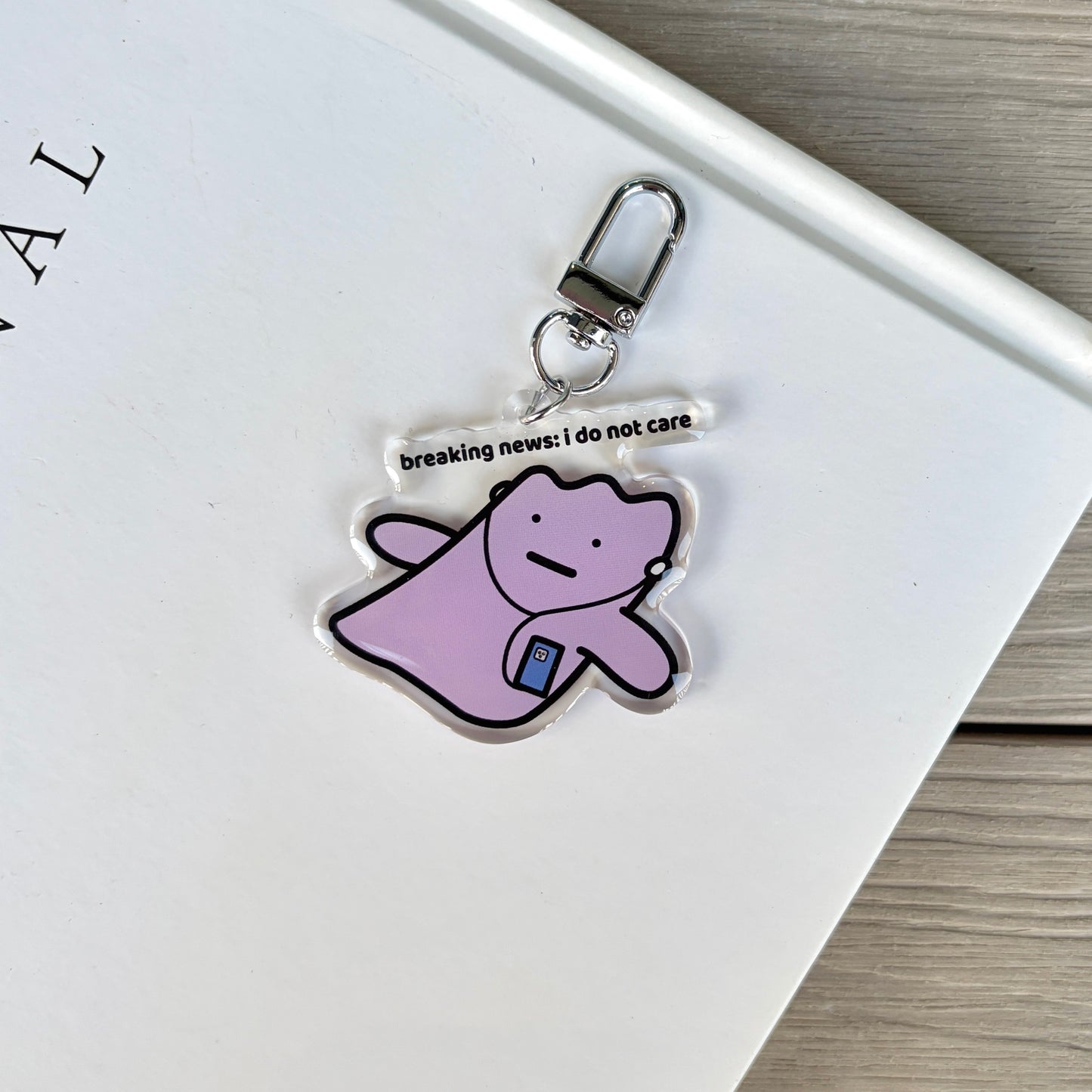 I Do Not Care Keychain